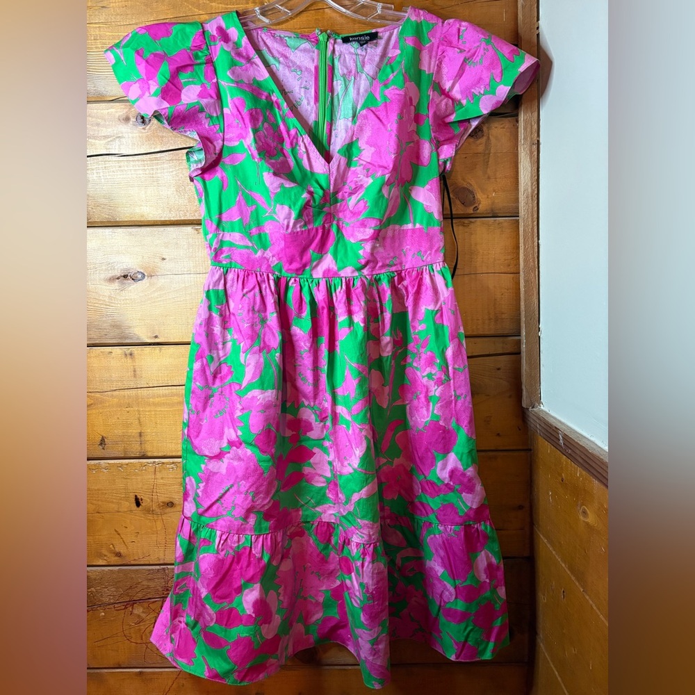 Kensie Pink and Green Floral dress size 4
